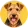 Airedale terrier
