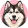 Alaskan malamute