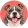 American bully