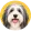 Bearded collie