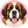 Bernardyn
