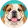 Buldog angielski