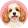 Cavachon