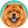 Chow chow