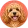 Cockapoo