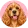Cocker spaniel