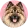 Eurasier
