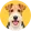 Foksterier