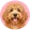 Goldendoodle