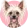 Grzywacz chiński