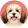 Hawańczyk