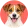 Jack russell terrier
