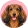 Jamnik
