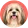 Lhasa apso