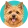 Norwich terrier