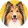 Owczarek szkocki collie