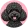 Pudel toy