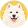 Samojed