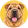Shar pei