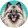 Szpic wilczy