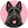 Terrier szkocki