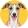 Whippet